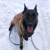 Roman Aliev - @alievroman665 - TikTok