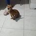 Roman Badillo - Facebook