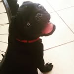 Roman Badillo Vazquez - @raulbadillo58 - Instagram