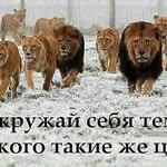 роман беккер - @bekkerroman - Instagram