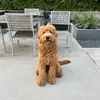 Romanbentley_romanaround - @romanbentley_romanaround - TikTok