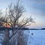 Roman Bilyk - @roman_2956 - Instagram