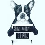 Roman Bilyk - @just_do_it_everyone - Instagram