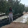 milagros cardenas roman - @carolcardenasroman13 - TikTok