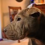 Roman - @roman_cobb - Instagram