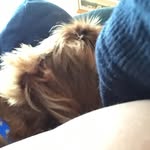 Roman james duncan - @gadoradegamer - Instagram