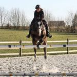 romane eicher - @romane_eicher - Instagram