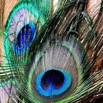 Roman Falke - @roman.falke.3 - Instagram
