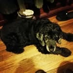 Kathy - @k_roman_goodman - Instagram