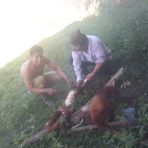 Roman Ruiz Gordon - Facebook
