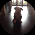 @_romangreene - Instagram