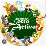 Román Guzmán - Facebook
