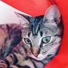 H&R - @harmony_romaneee - TikTok