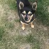Roman.Harvey - @roman.harvey - TikTok