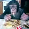 Roman Holiday - @ramennoodles1400 - TikTok