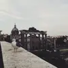 roman holiday - @roman.holidayss - TikTok