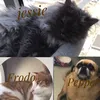 Roman Holiday - @roman.holiday7 - TikTok