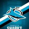 Sharks on top - @romanhood1 - TikTok
