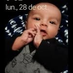 Roman Islas Islas - @romanislasislas - Instagram