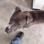 maecelino roman lechuga jimene - @maecelinoroman - Instagram