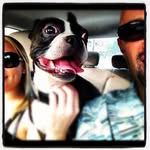 Roman Lerman - @_insta_roman_ - Instagram