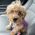 Roman Maxwell - @roman_thedood_maxwell - Instagram