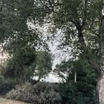 Roman maxwell - @romanmaxwell520 - Instagram