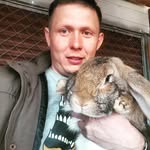 Ижевск Кролики Куры продажа - @roman_muller_udm - Instagram