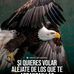 Román Muñiz - Facebook