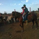roman ochoa - @roman8a_ - Instagram