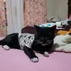 Pina Roman - @roman..pina - TikTok