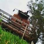 Roman piña - @romanpina77 - Instagram