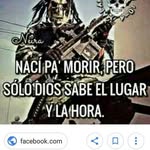 Roman Piña - @roman.pina.796 - Instagram