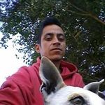 Roman Trejo Regalado - @trejoregalado - Instagram