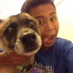 Romanreid - @backflipstrickster101 - Instagram