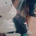 Romario Rose - Facebook