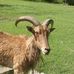 Rome Davis - Facebook