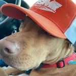 Rome West - @jack_west20 - Instagram