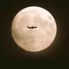 romel king - @romel1284 - TikTok