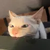 Romelia Gómez - @_romelia - TikTok