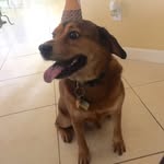 Romeo Chiurillo - @romeochiurillo - Instagram