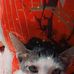 Romeo Manuel - Facebook