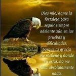 Romeo Miranda - @romeo.miranda.988373 - Instagram