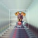 Romeo® - @king_romeo_travis - Instagram