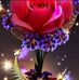Rimi Khan - Facebook