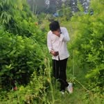 Romjan Ali - @romjan_ali_007 - Instagram