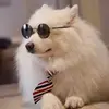 user698233615 - @romjan.ali7213 - TikTok