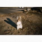 Tara Schwabe - @romonajohnson782 - Instagram
