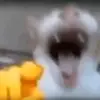hahahshahaha - @romyotusi - TikTok