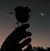Rahma Aldosky - Facebook